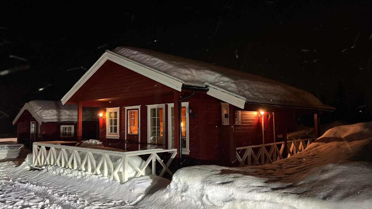 Saltvold Hytte Nr8 Røldal Dış mekan fotoğraf